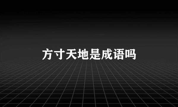 方寸天地是成语吗