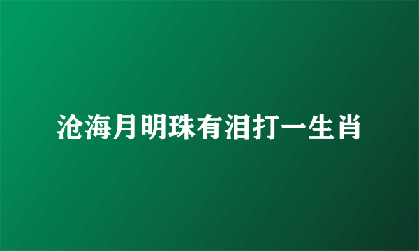 沧海月明珠有泪打一生肖