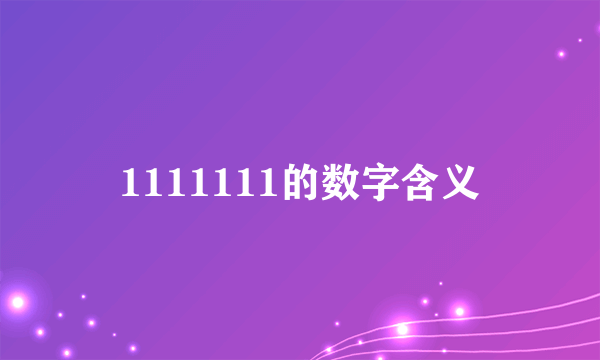 1111111的数字含义