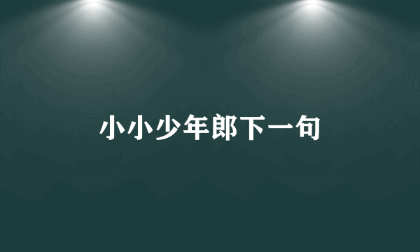 小小少年郎下一句