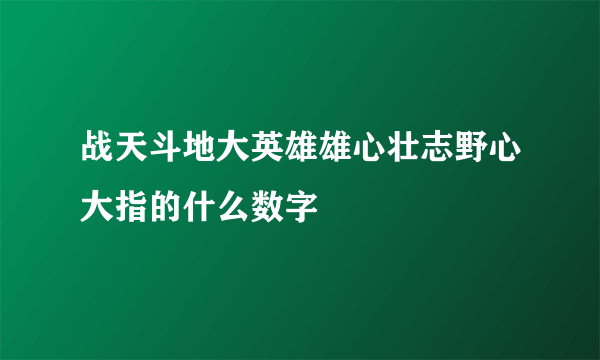 战天斗地大英雄雄心壮志野心大指的什么数字