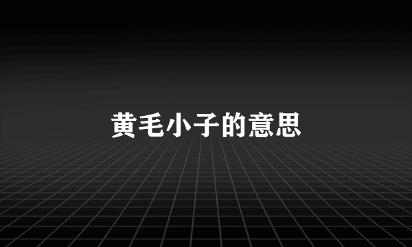 黄毛小子的意思