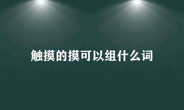 触摸的摸可以组什么词