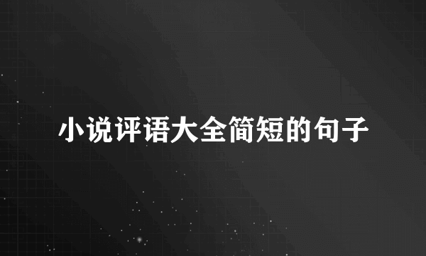 小说评语大全简短的句子