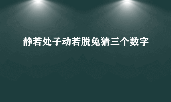 静若处子动若脱兔猜三个数字