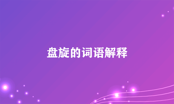 盘旋的词语解释