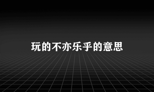 玩的不亦乐乎的意思