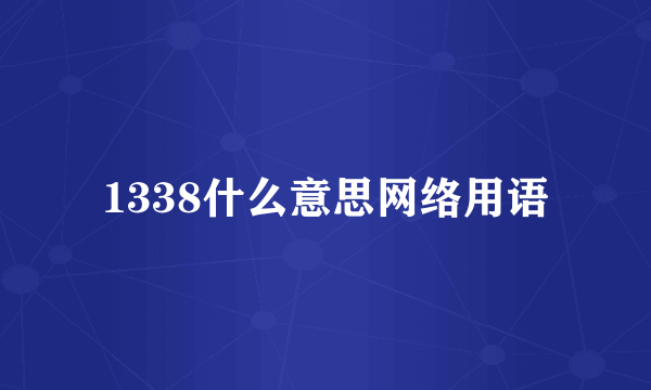1338什么意思网络用语