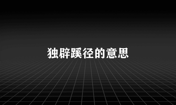 独辟蹊径的意思