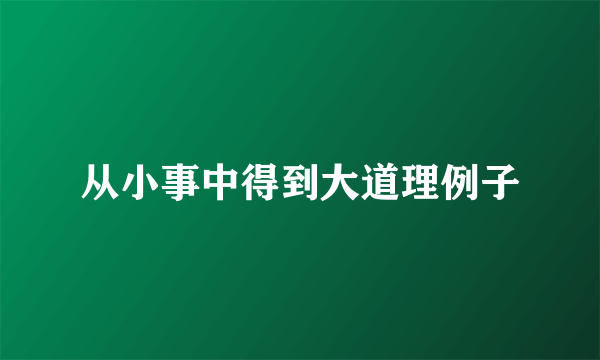 从小事中得到大道理例子