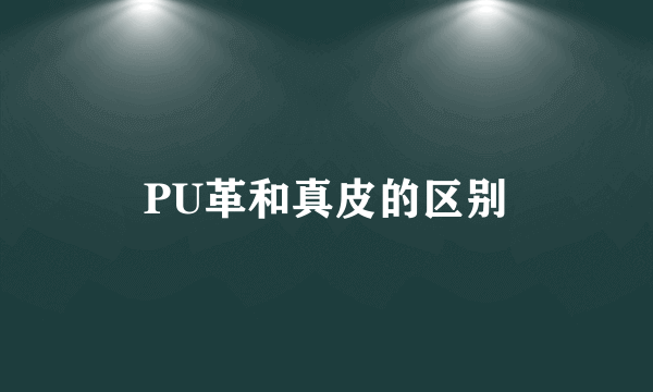 PU革和真皮的区别
