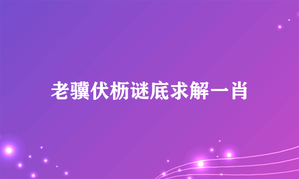 老骥伏枥谜底求解一肖