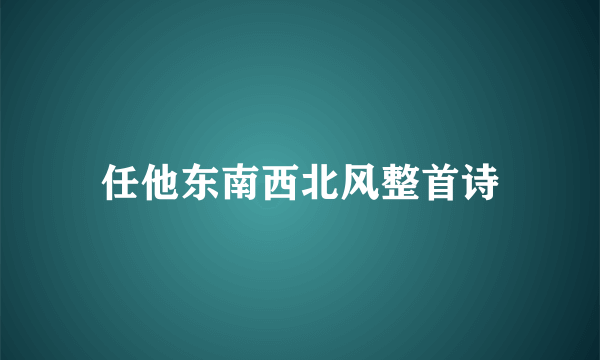 任他东南西北风整首诗