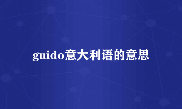 guido意大利语的意思