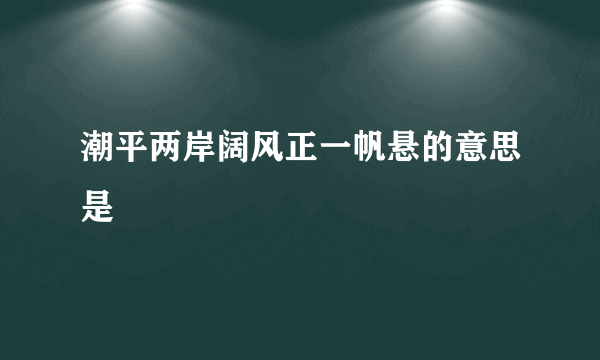 潮平两岸阔风正一帆悬的意思是