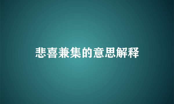 悲喜兼集的意思解释