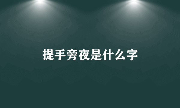 提手旁夜是什么字