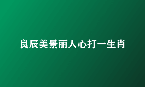 良辰美景丽人心打一生肖