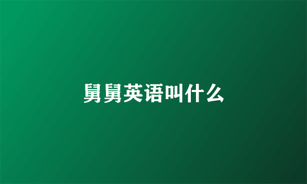 舅舅英语叫什么