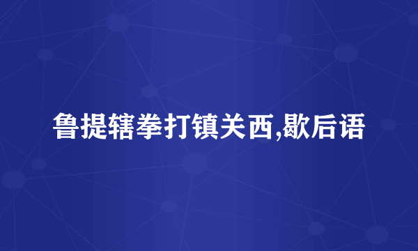 鲁提辖拳打镇关西,歇后语
