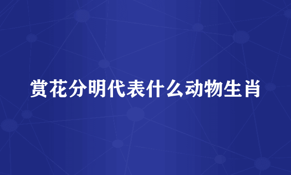 赏花分明代表什么动物生肖