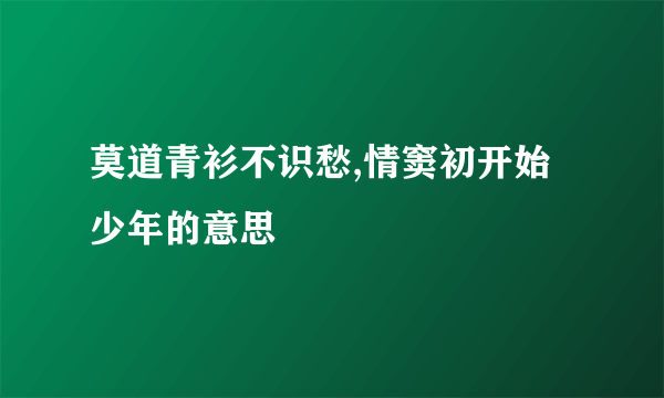莫道青衫不识愁,情窦初开始少年的意思