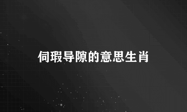 伺瑕导隙的意思生肖