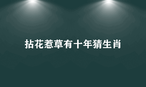 拈花惹草有十年猜生肖