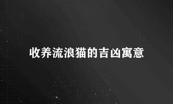 收养流浪猫的吉凶寓意