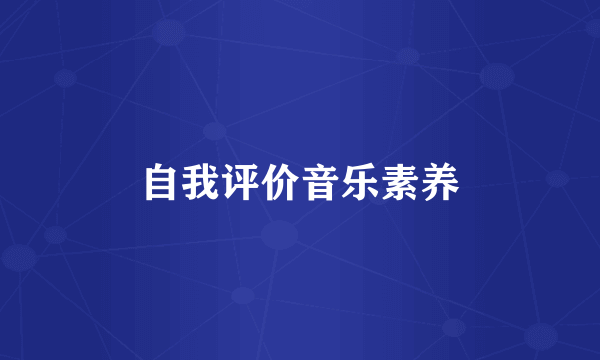 自我评价音乐素养