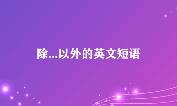 除...以外的英文短语