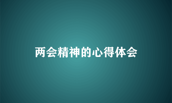 两会精神的心得体会