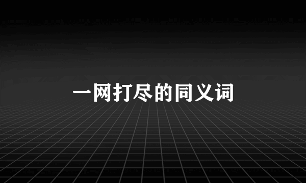 一网打尽的同义词