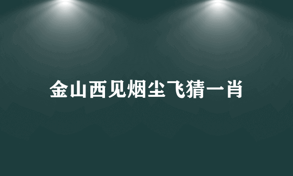 金山西见烟尘飞猜一肖