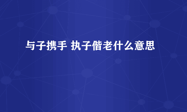 与子携手 执子偕老什么意思