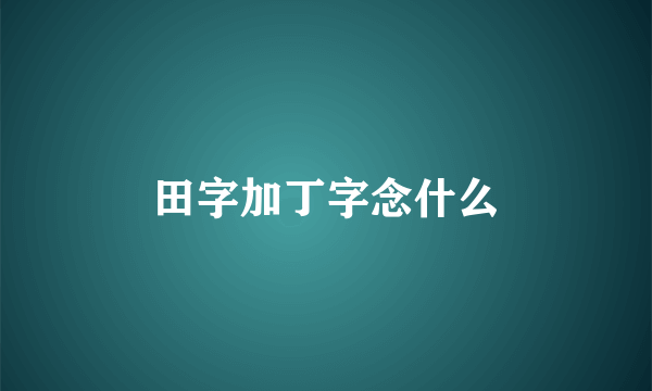 田字加丁字念什么
