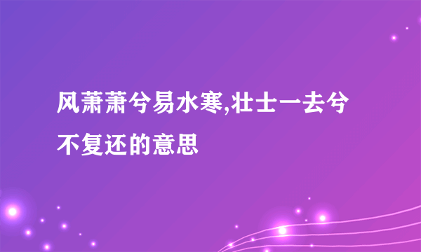 风萧萧兮易水寒,壮士一去兮不复还的意思