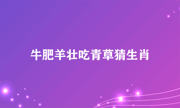 牛肥羊壮吃青草猜生肖