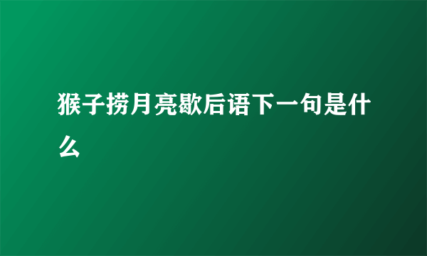 猴子捞月亮歇后语下一句是什么