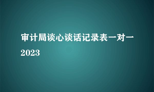 审计局谈心谈话记录表一对一2023
