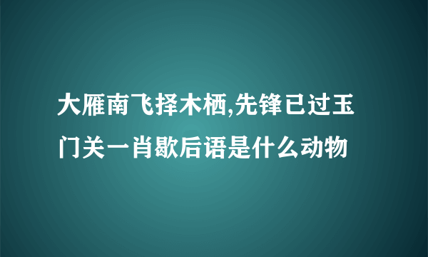 大雁南飞择木栖,先锋已过玉门关一肖歇后语是什么动物