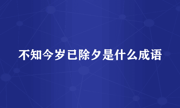 不知今岁已除夕是什么成语