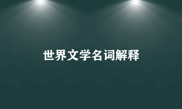 世界文学名词解释