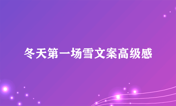 冬天第一场雪文案高级感