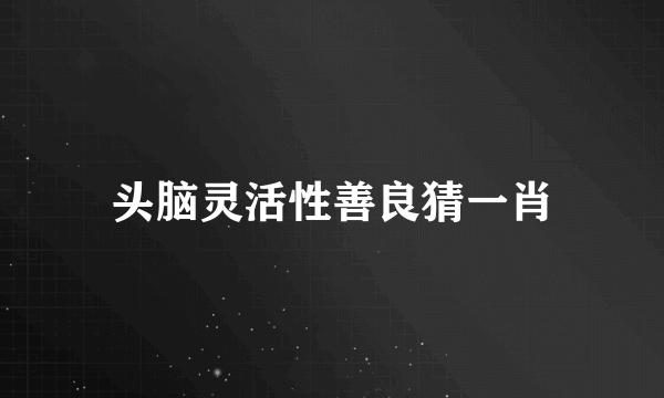 头脑灵活性善良猜一肖