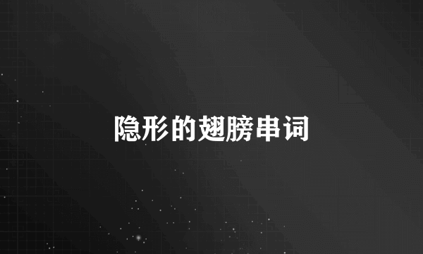 隐形的翅膀串词