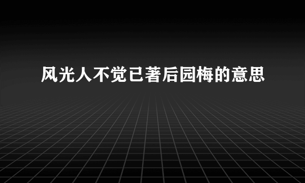 风光人不觉已著后园梅的意思