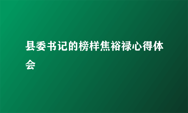 县委书记的榜样焦裕禄心得体会