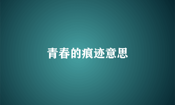青春的痕迹意思
