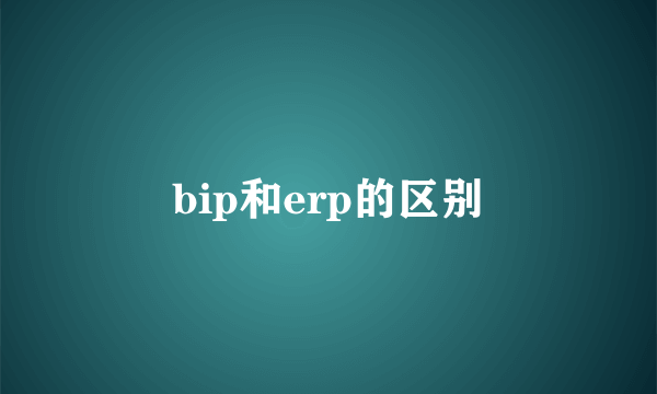 bip和erp的区别
